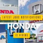 Jobs In Noida